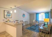 Thumbnail 6 of 49 - Open Concept living room in the Retreat apts at Indian Lake in Hendersonville with large window, modern blue rug, and luxury plank tile floors.