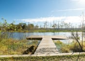 Thumbnail 17 of 23 - a dock on a lake in the woods