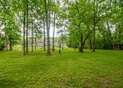Thumbnail 34 of 36 - Retreat at Indian Lake Apartments park with green grass and trees.