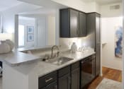 Thumbnail 7 of 19 - Contemporary kitchen with black cabinetry, granite countertops, and stainless sink
