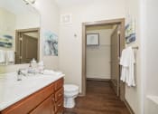 Thumbnail 9 of 25 - The renovated bathroom in a two-bedroom apartment at Austin Park Apartments offers modern interiors, wood-style flooring, a large vanity mirror, a spacious closet, and a shower with a tub.