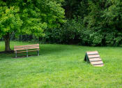 Thumbnail 21 of 25 - Grassy picnic area with a bench and picnic table at The Coleman Apartments in Canal Winchester, OH