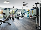 Thumbnail 7 of 14 - A gym with a variety of equipment including weights and a bench.