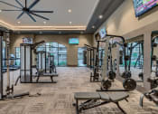 Thumbnail 15 of 23 - a gym with weights and cardio equipment and a tv