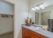 Thumbnail 15 of 24 - A bathroom with a sink, mirror, and a plant on the counter.