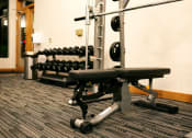 Thumbnail 29 of 51 - a row of weights machines in a gym