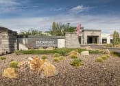 Thumbnail 38 of 39 - a view of the entrance encantada saguaro national