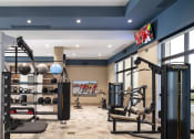 Thumbnail 26 of 39 - a gym with weights machines and a flat screen tv on the wall
