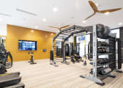 Thumbnail 5 of 51 - a gym with weights and cardio equipment and a tv on the wall