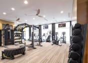 Thumbnail 39 of 51 - a gym with weights and cardio machines and a ceiling fan
