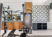 Thumbnail 16 of 56 - A gym with a variety of equipment including a squat rack, bench, and weights.
