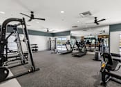 Thumbnail 14 of 56 - A spacious gym with a variety of equipment including treadmills, weights, and exercise machines.