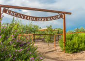 Thumbnail 29 of 29 - a sign that reads the entrance to the encyclopaedia dog ranch