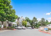 Thumbnail 17 of 20 - the enclave at homecoming terra vista parking lot