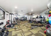Thumbnail 21 of 22 - the gym at the enclave at woodbridge apartments in sugar land, tx
