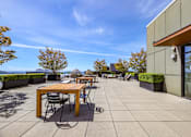 Thumbnail 36 of 38 - the terrace of a restaurant with tables and chairs