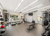 Thumbnail 18 of 27 - a gym with weights and cardio equipment on the floor and a television
