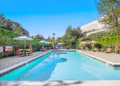 Thumbnail 21 of 24 - a swimming pool with chairs and umbrellas next to a resort style pool