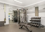 Thumbnail 22 of 27 - a gym with weights and dumbbells and a mirror on the wall