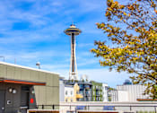 Thumbnail 34 of 38 - a view of the space needle in the city