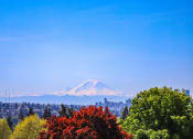 Thumbnail 45 of 53 - a view of mount fuji with the city in the background