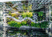 Thumbnail 15 of 32 - A green roof on a building with plants growing on it.