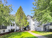 Thumbnail 3 of 24 - the preserve at ballantyne commons apartments courtyard and trees