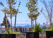 Thumbnail 47 of 53 - a view of mount fuji from a rooftop garden with trees and plants