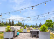 Thumbnail 18 of 20 - the patio has a grill and tables and chairs and a view of the trees