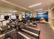 Thumbnail 16 of 48 - a gym with cardio equipment and a mural of a mountain and lake