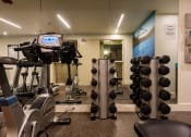 Thumbnail 17 of 48 - a room filled with lots of different types of exercise equipment