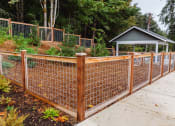 Thumbnail 17 of 24 - a garden with a fence and a house in the background