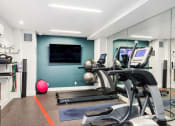 Thumbnail 30 of 48 - a gym with exercise equipment and a tv on the wall