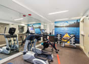 Thumbnail 26 of 48 - a gym with exercise equipment and a wall mural of the water and mountains