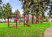 Thumbnail 4 of 49 - a playground on the grass in a park