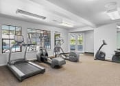 Thumbnail 20 of 26 - a gym with treadmills and other exercise equipment and windows
