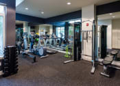 Thumbnail 17 of 20 - a spacious fitness room with cardio machines and weights