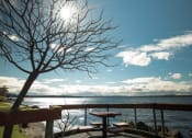 Thumbnail 35 of 37