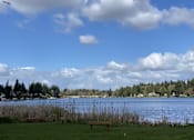 Thumbnail 40 of 41 - A serene landscape with a bench in the foreground and a body of water in the background.