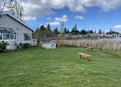 Thumbnail 34 of 41 - A backyard with a wooden bench and a house.