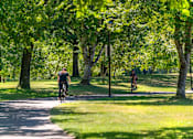 Thumbnail 7 of 8 - Two people riding bicycles on a path in a park.