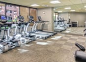 Thumbnail 27 of 33 - a gym full of cardio equipment and exercise machines