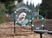 Thumbnail 18 of 19 - A dog agility course with a sign that reads "Waterstone" and a dog jumping over a hurdle.