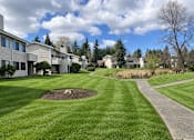 Thumbnail 32 of 37 - A grassy area with a circular patch of dirt in the middle and a concrete pathway.