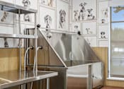 Thumbnail 27 of 38 - A stainless steel sink in a room with pictures of dogs on the wall.