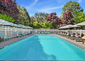 Thumbnail 29 of 38 - A large outdoor swimming pool surrounded by trees and lounge chairs.