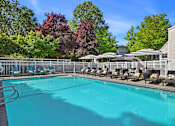 Thumbnail 31 of 38 - A large swimming pool surrounded by trees and lounge chairs.