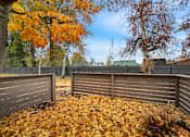 Thumbnail 35 of 49 - A backyard with a fence and trees with orange leaves.