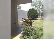 Thumbnail 6 of 15 - a view of the side of a building with a plant