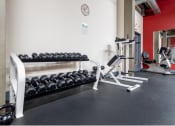 Thumbnail 7 of 34 - a gym with weights and a rack of dumbbells